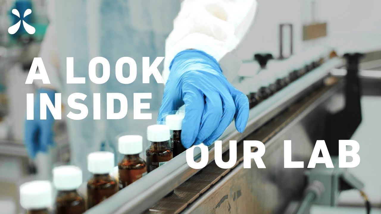 A Look Inside Our Lab