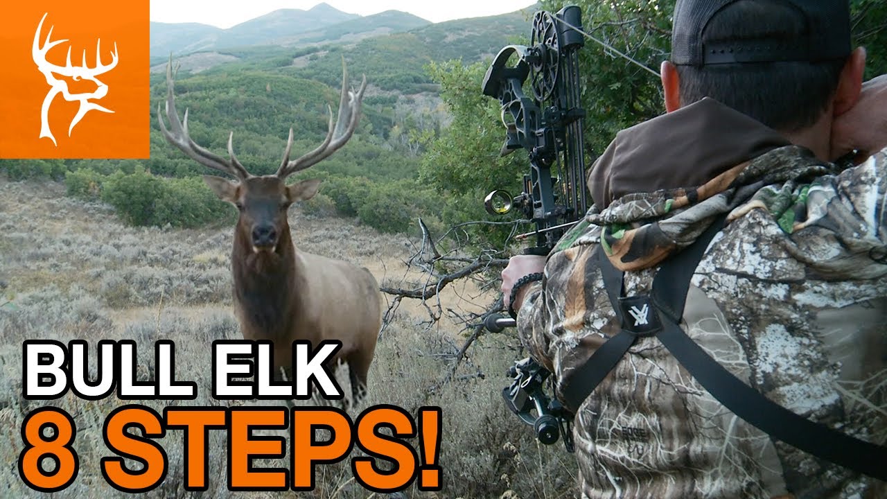 BULL at 8 STEPS | UTAH Elk Season | Buck Commander | Full Episode