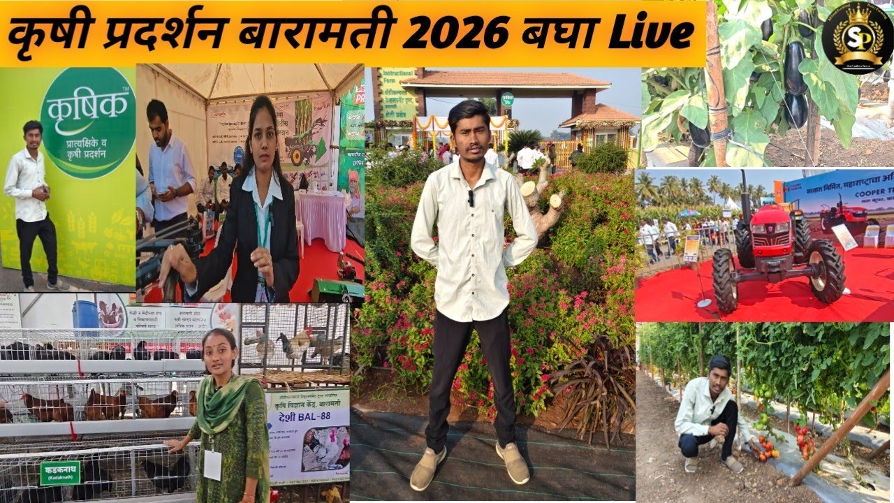 Baramati krushi pradarshan 2026|कृषी प्रदर्शन बारामती 2026|KVK Baramati 