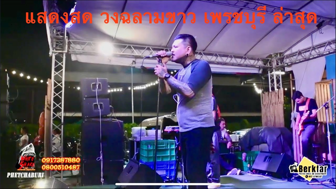 แสดงสด วงฉลามขาว เพรชบุรี ล่าสุด