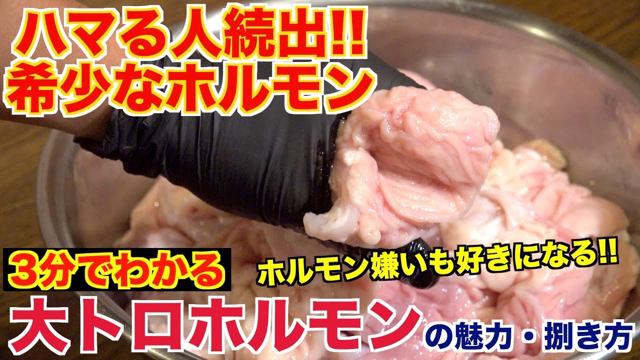 【希少部位】大トロホルモンの魅力と捌き方