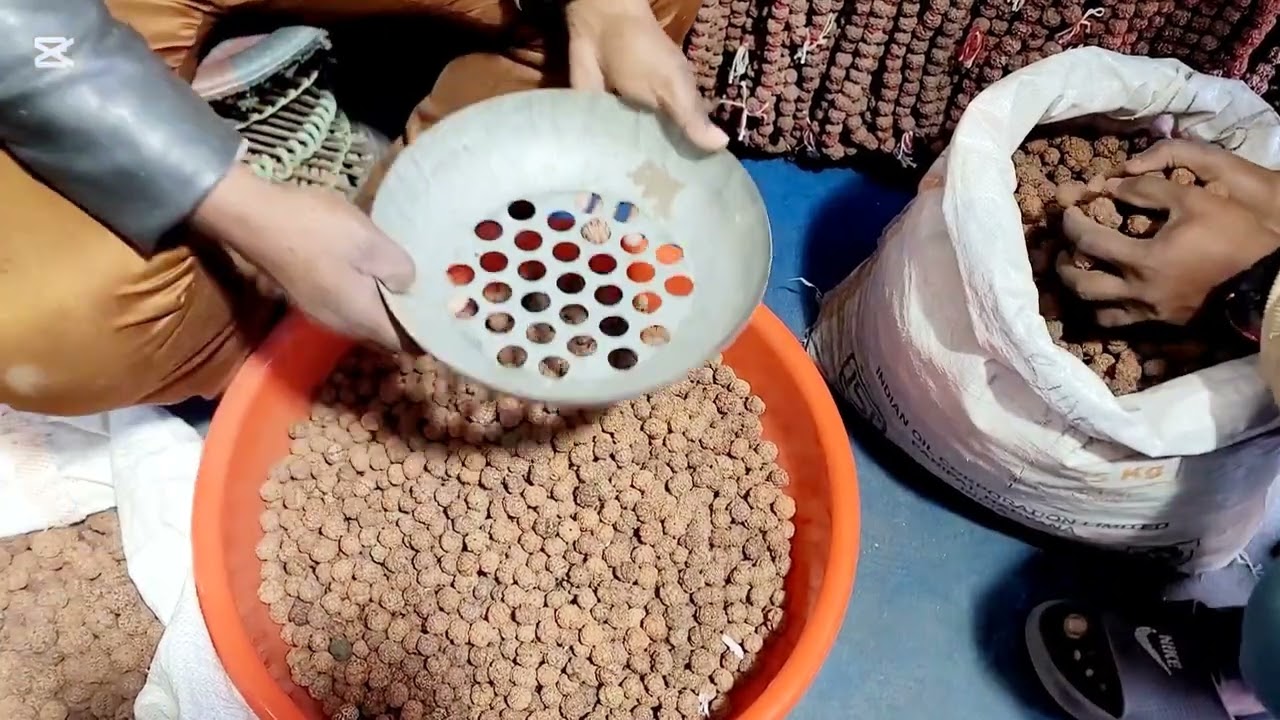 Nepali Rudraksha Shop Budhanilkantha Kathmandu Nepal  New Nepali Rudraksha 2025