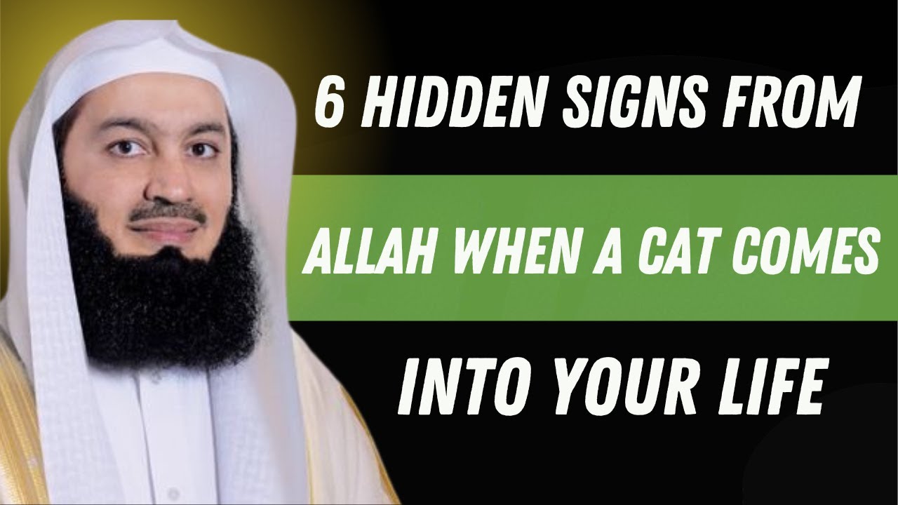 6 Hidden Signs from Allah When a Cat Comes Into Your Life | Mufti Menk’s Life-Changing Message