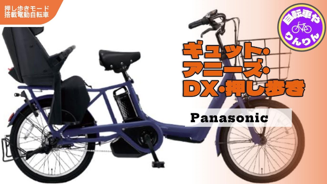 Panasonic ギュットアニーズ・DX・押し歩き