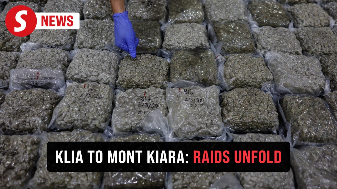 International drug syndicate busted with four arrested, RM9.35mil cannabis seized