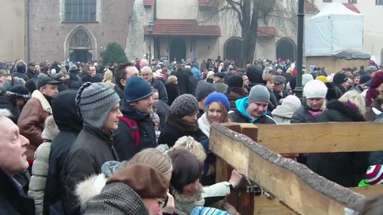 Żywa szopka u Franciszkanów w Krakowie 2012