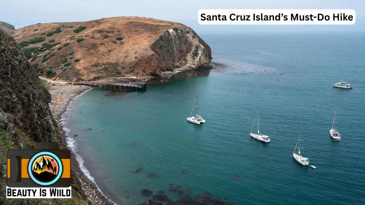 Scorpion Canyon Loop Trail Guide | Santa Cruz Island’s Best Hike in Channel Islands NP