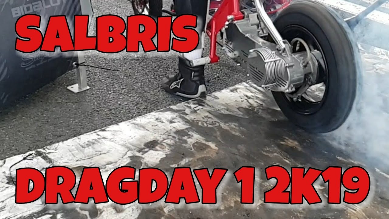 SALBRIS DD1 2019