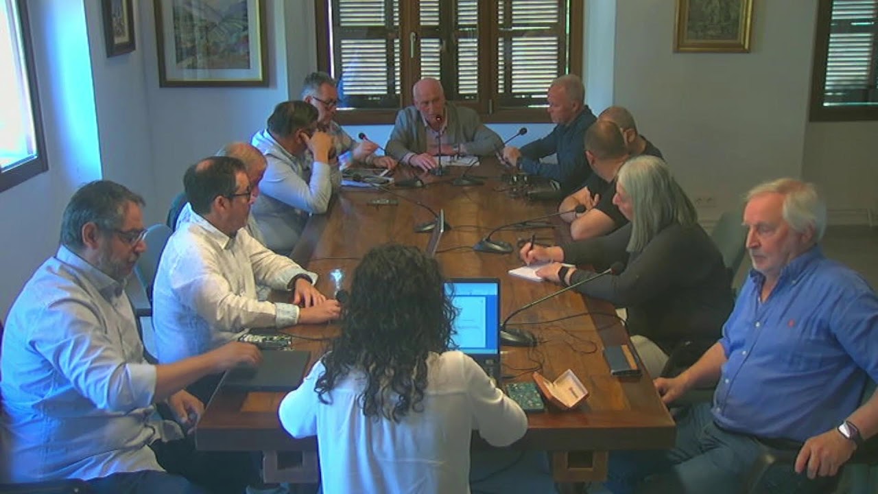 Ple Extaordinari i urgent | 12 de maig de 2025