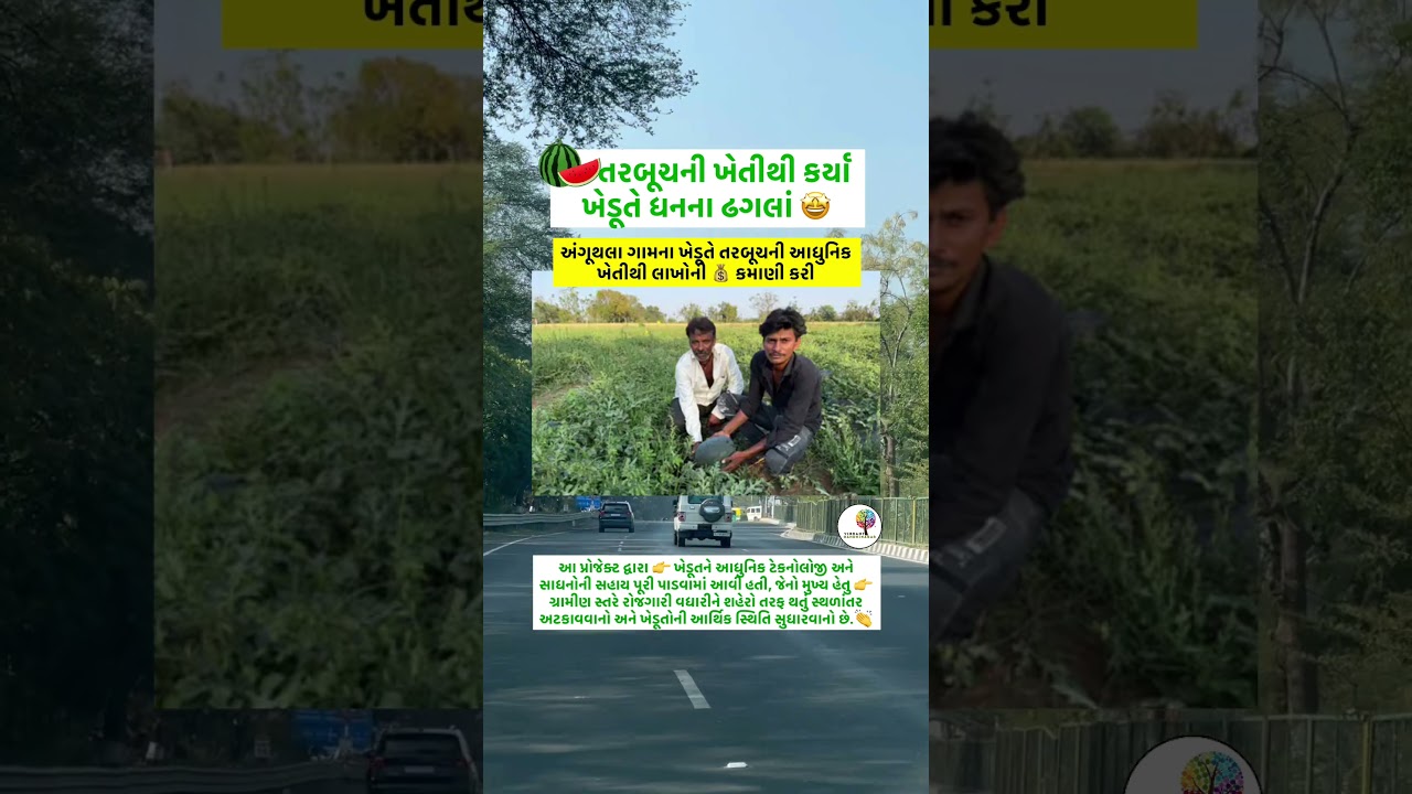 🔥ખેડૂતે ધનના ઢગલાં🤩#gandhinagarnews  #shorts #youtubeshorts  #farmer #gujarat #watermelon #crop