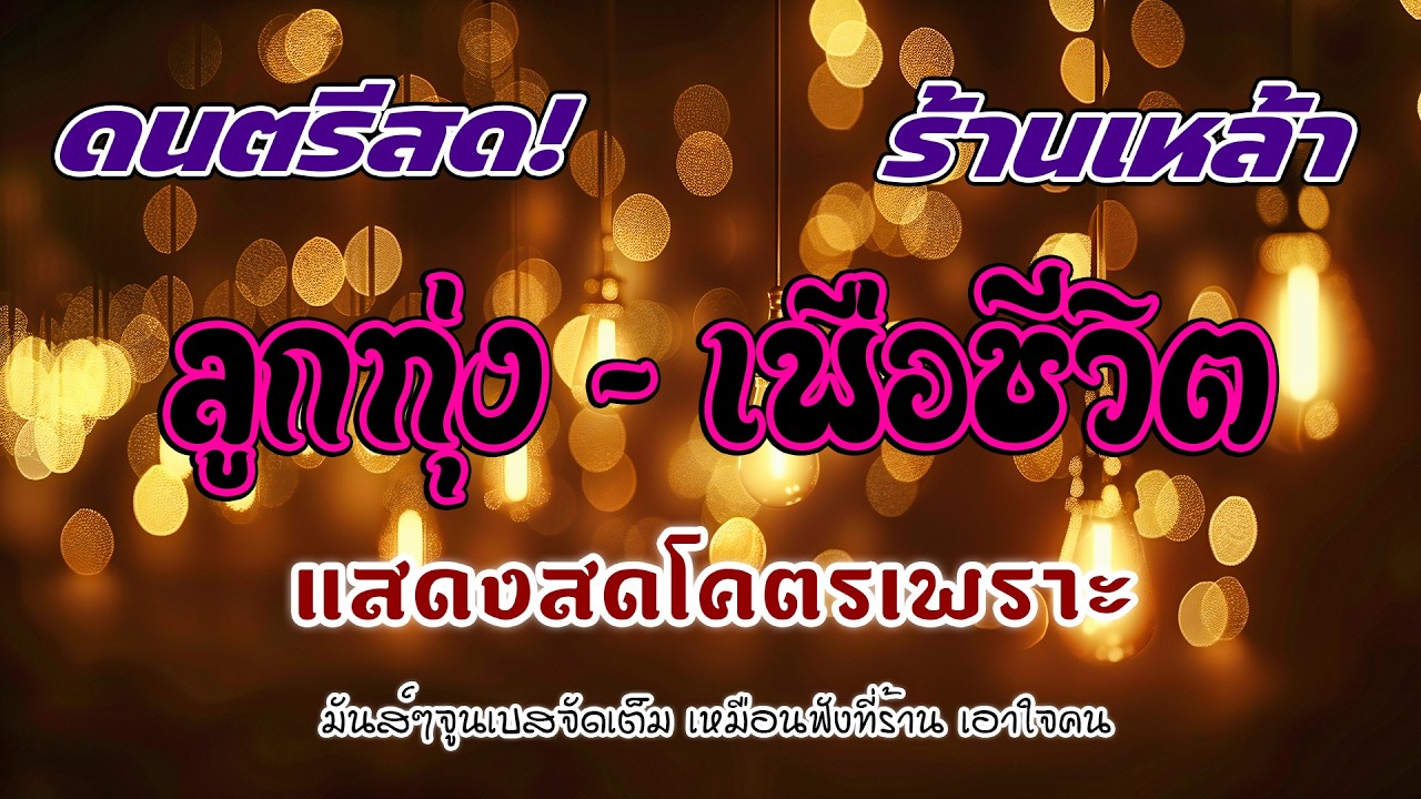 โฟล์คซองร้านเหล้า ดนตรีสด ลูกทุ่งเพื่อชีวิต โคตรเพราะ ยิ่งฟังยิ่งเพลิน ดนตรีสดเพลงโดนๆ คิดถึงวันเก่า