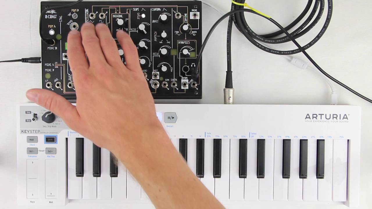 0-Coast PGM Pages, pt. 2: Page 1, Arpeggiator Type