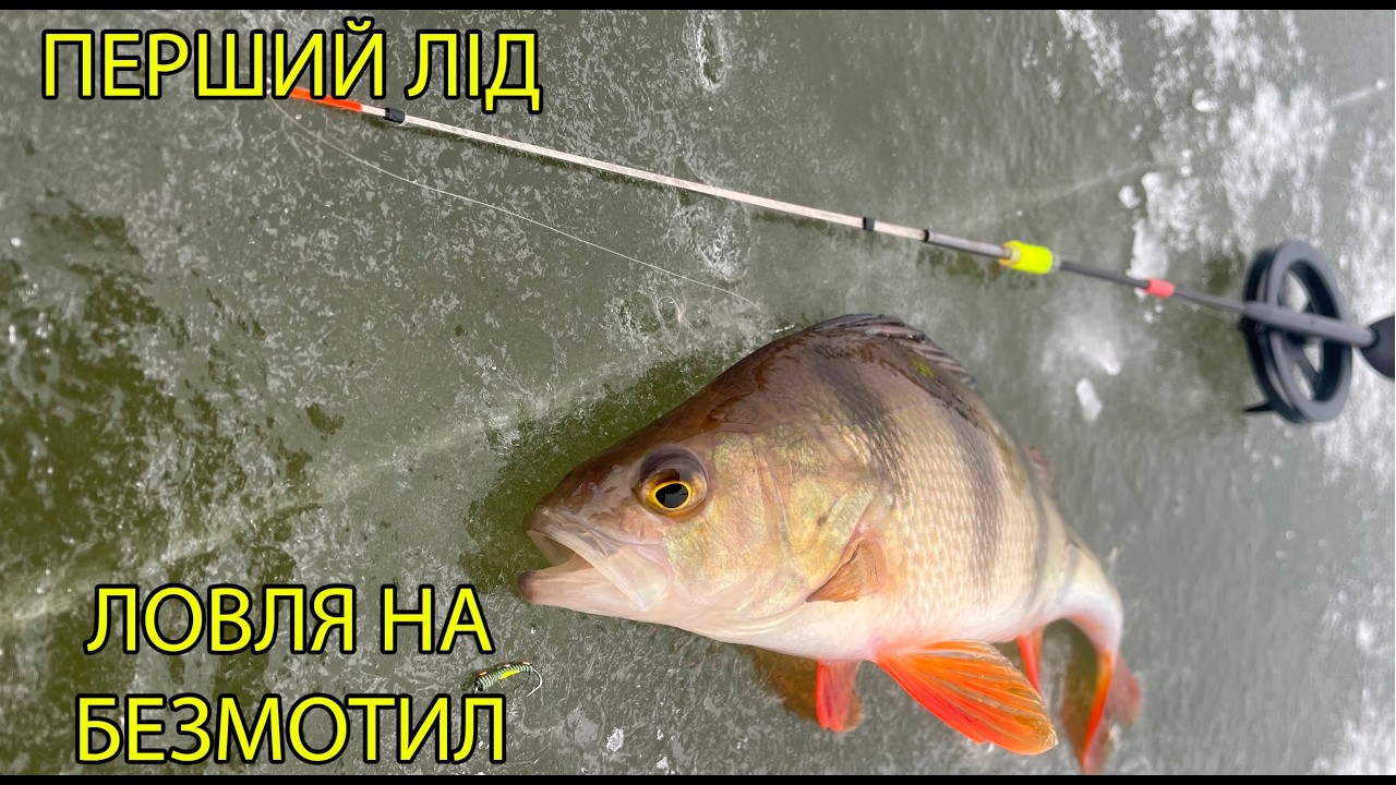 Зимова риболовля на безмотилку по першому льод і! НЕОЧІКУВАНИЙ УЛОВ !