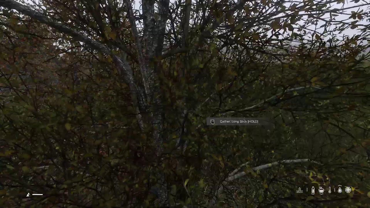 DayZ