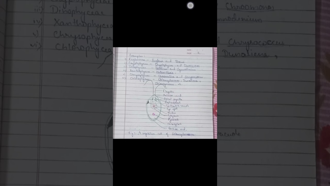 Range of Thallus Structure in Algae (2) | Unicellular Motile forms | Botany 1st year notes #bsc