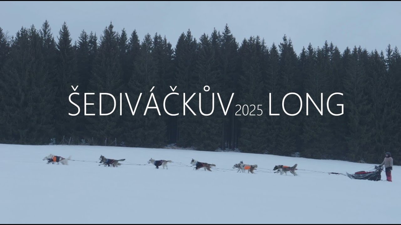 Šediváčkův long 2025
