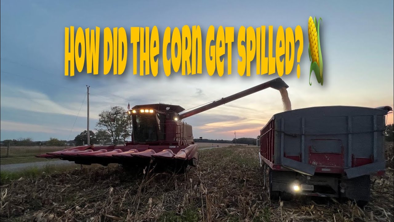 Back in the Field, Corn 🌽 Harvest 2022