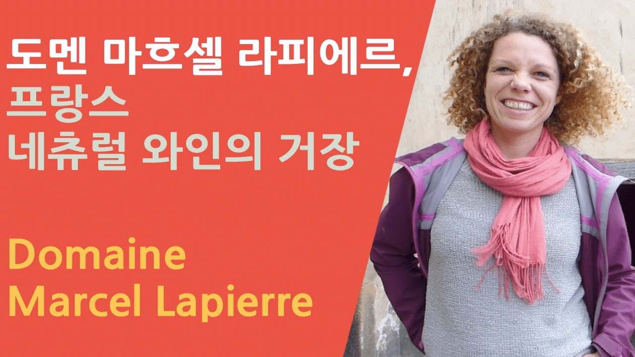 내추럴 와인이란? 전설의 보졸레 도멘 마흐셀 라피에르 방문! (La Visite de Domaine Marcel Lapierre)