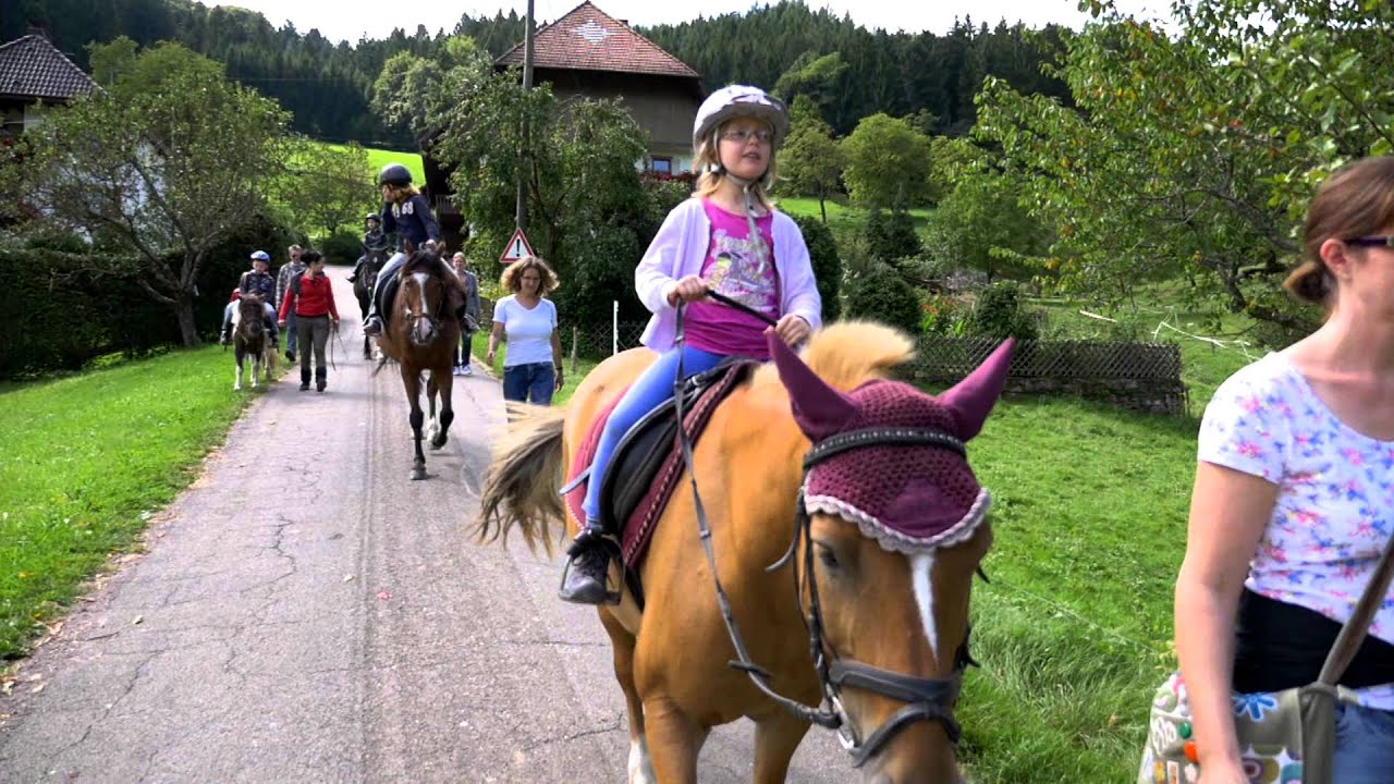 Kempfenhof Seelbach