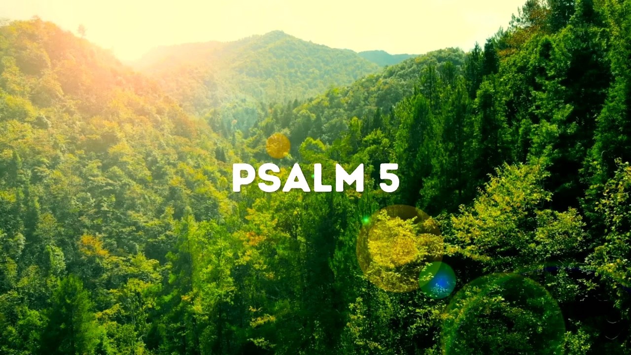 [히어바이블] 아침에 길을 세우다｜시편 5편