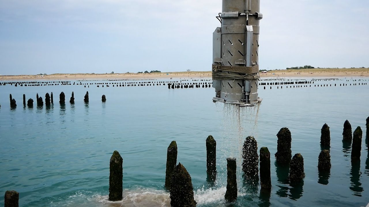 Métier : mytiliculteur en baie de L'Aiguillon