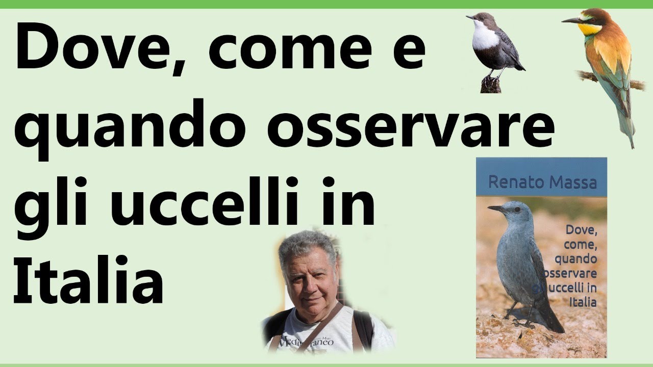 Dove, come e quando osservare gli uccelli in Italia: chiacchierata naturalistica con Renato Massa