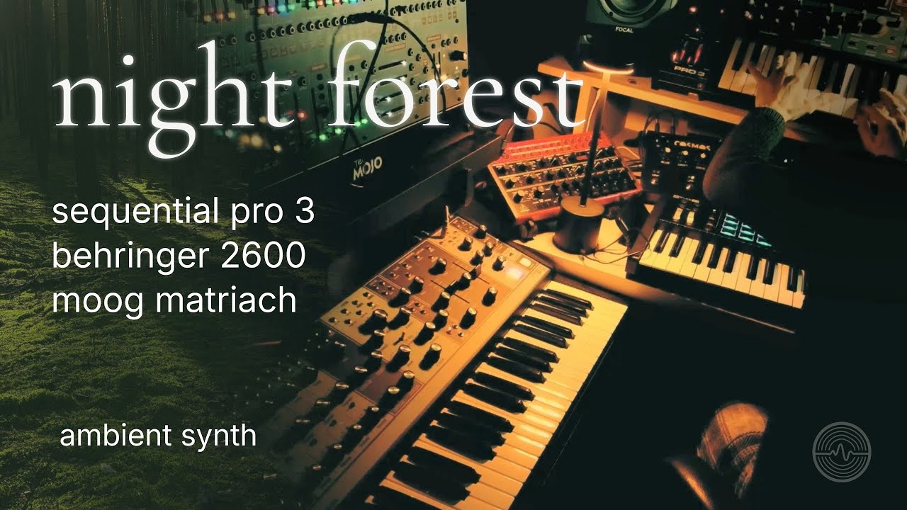 night forest | ambient synth performance // sequential PRO 3 + moog matriach + behringer 2600