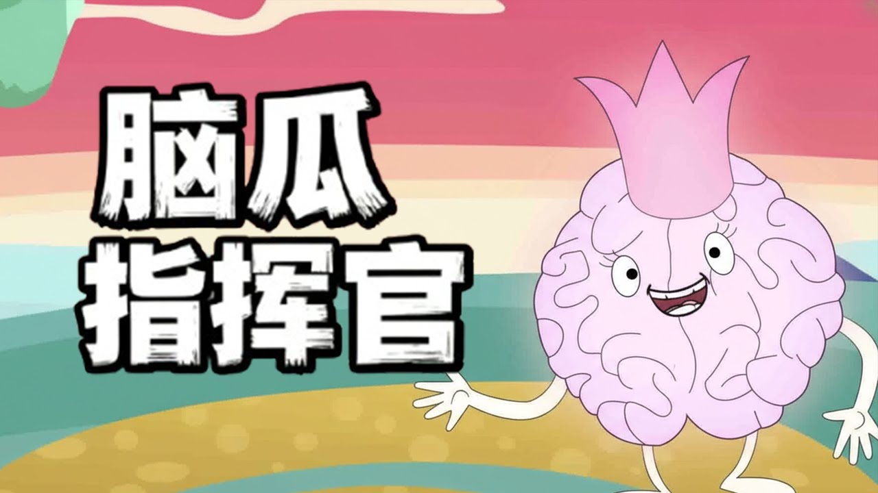 【神奇的人体奥秘】脑瓜指挥官