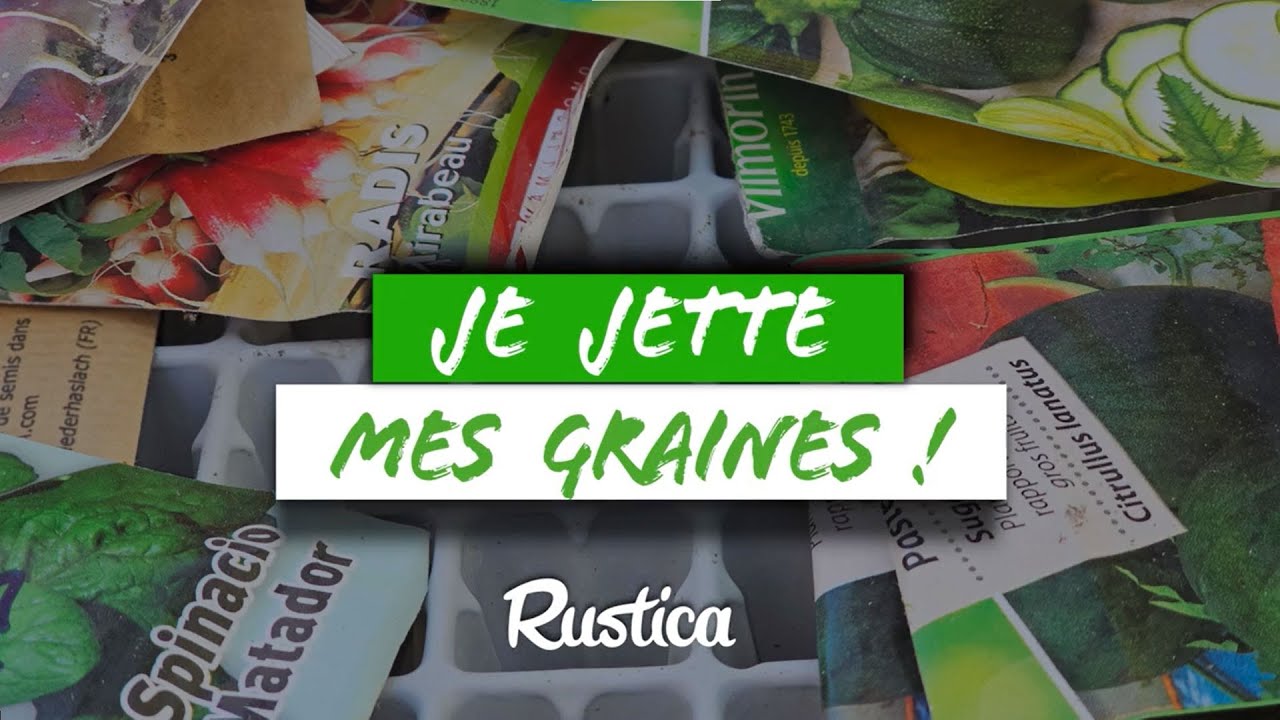 Trier ses vieilles graines : les jeter ou les garder ? 🌱