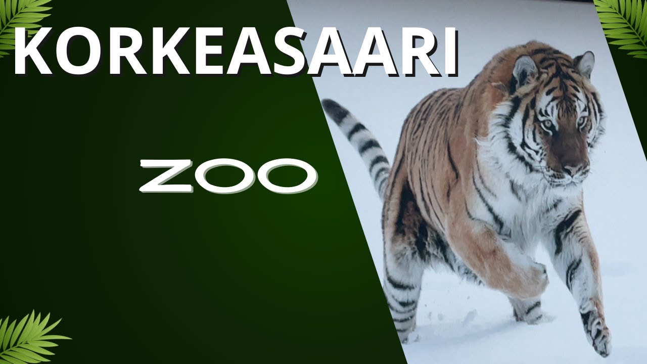 KORKEASAARI | ZOO | ELÄINTARHA | SUOMI | FINLAND | HELSINKI | WALKING TOUR