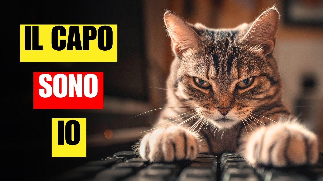 Il tuo gatto pensa di essere il capo?