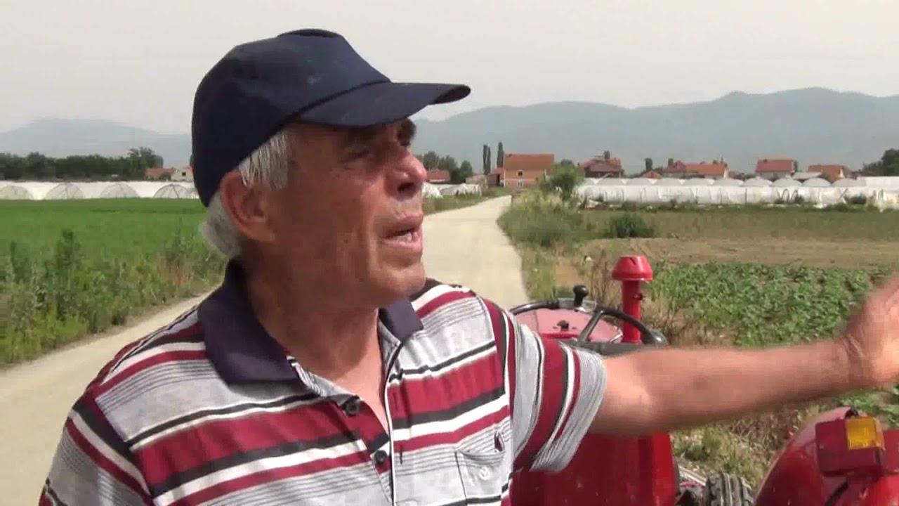 Невреме во Струмица – штети на пиперката за ајвар