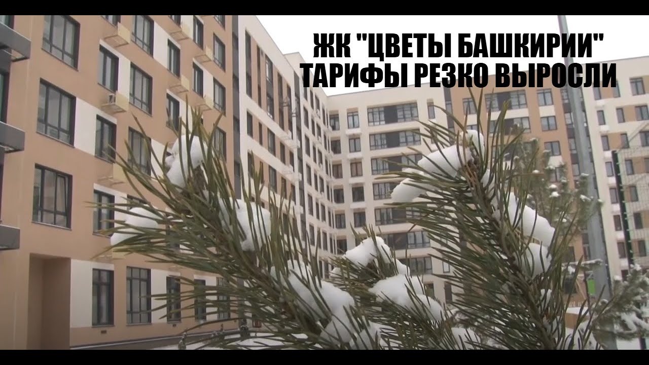 ЦВЕТЫ БАШКИРИИ - РАСЦВЕЛИ ТАРИФЫ ЖКХ