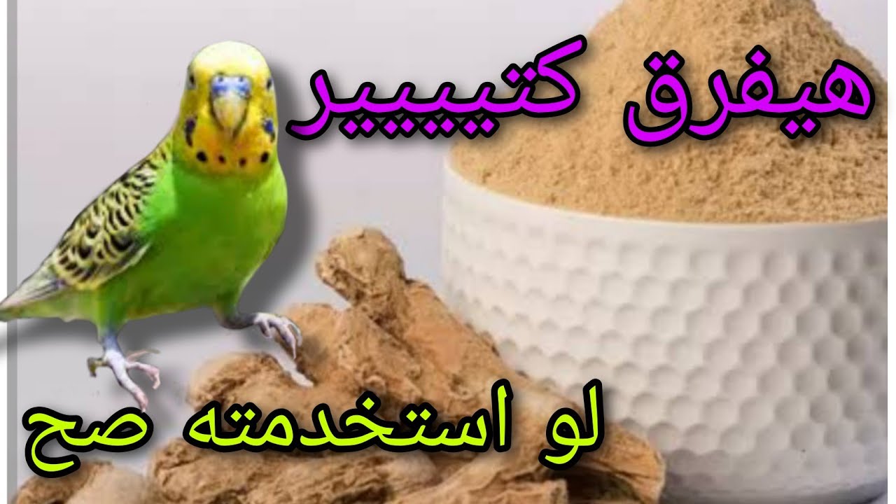 استخدمة صح لزيادة خصوبة الطيور وزيادة الانتاج