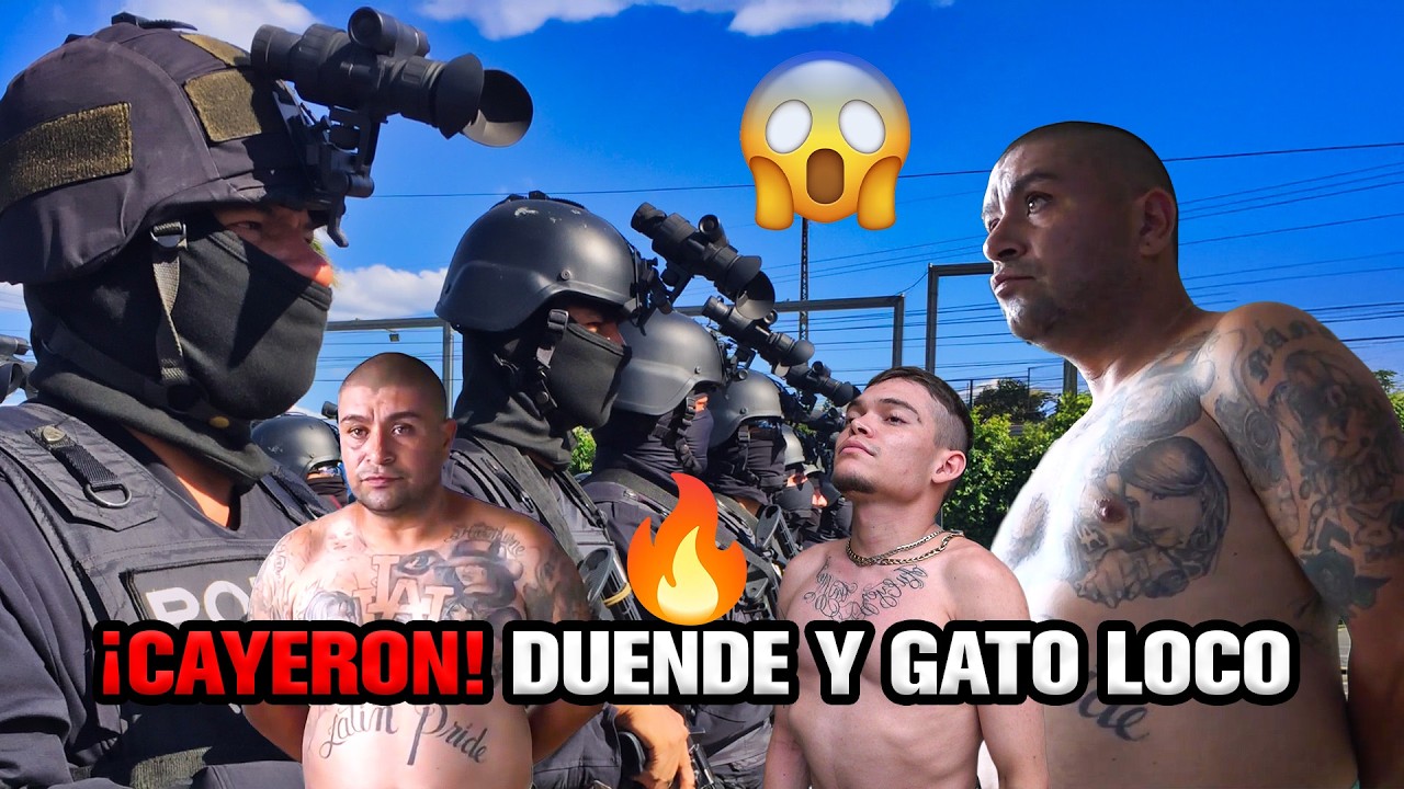 🔥🚨 ¡IMPACTANTE! CAYERON DUENDE y GATO LOCO Dos pandilleros menos en las calles 🔥🚨