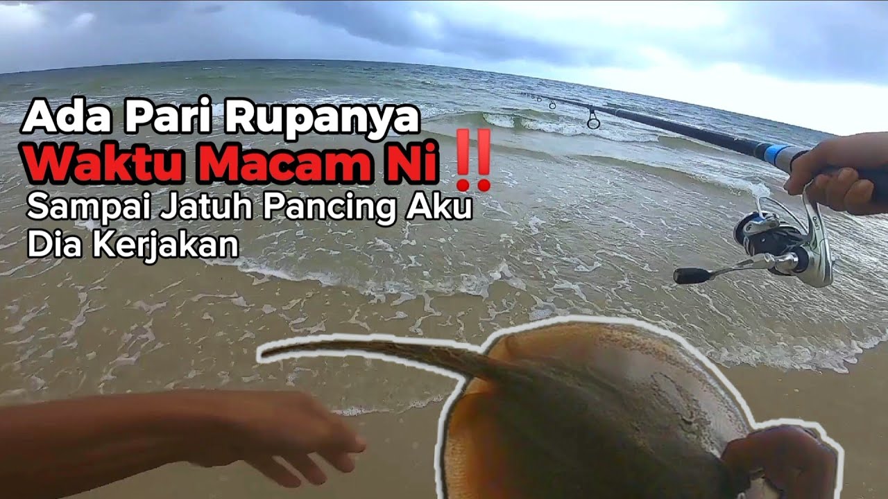 Surfcasting Pantai | Tak Sangka Ada Pari Waktu Macam Ni‼️Sampai Jatuh Pancing Aku