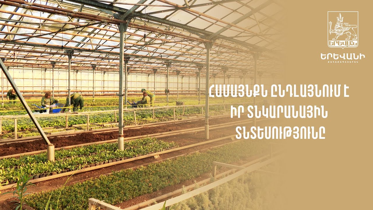 ՀԱՄԱՅՆՔՆ ԸՆԴԼԱՅՆՈՒՄ Է ԻՐ ՏՆԿԱՐԱՆԱՅԻՆ ՏՆՏԵՍՈՒԹՅՈՒՆԸ