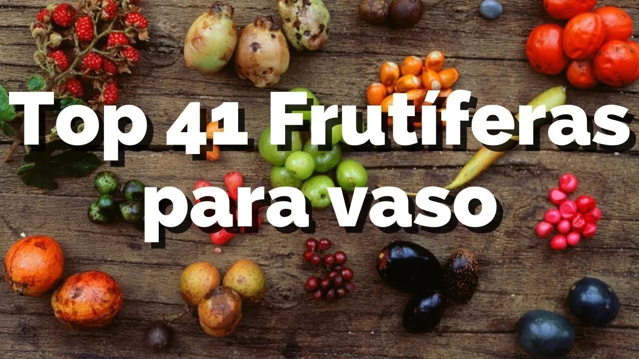 Top 41 Árvores Frutíferas para Vasos PRODUZ FÁCIL!