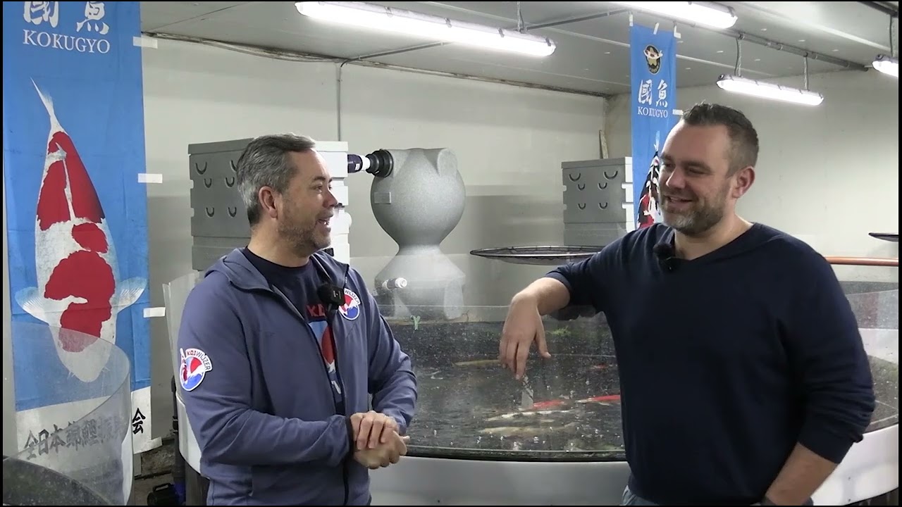 Koi Wijzer Live: alles over de sanke bij Koicentrum Sneek!
