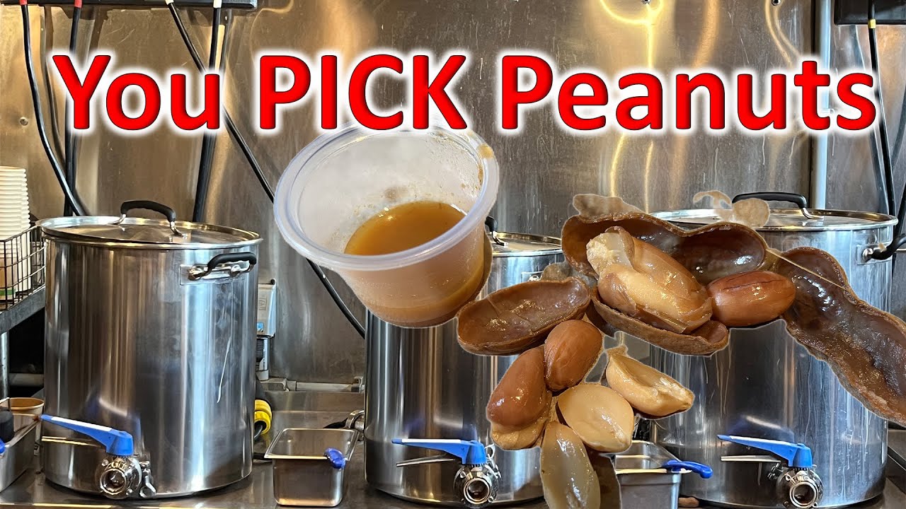 The Peanut Showdown: Boiled vs. Roasted