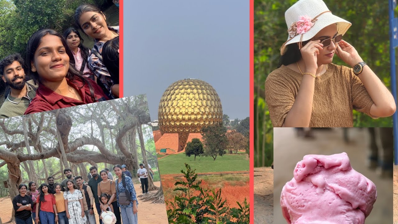 Pondicherry mangrove forest🌿🌿💥auroville🌴🌳🍀🌿☘️🍁