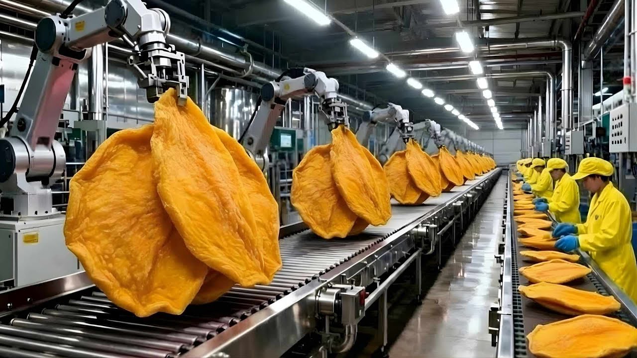 Inside a Factory: How Tons of Fresh Mangoes Become Dried Mango Slices (Full Process)