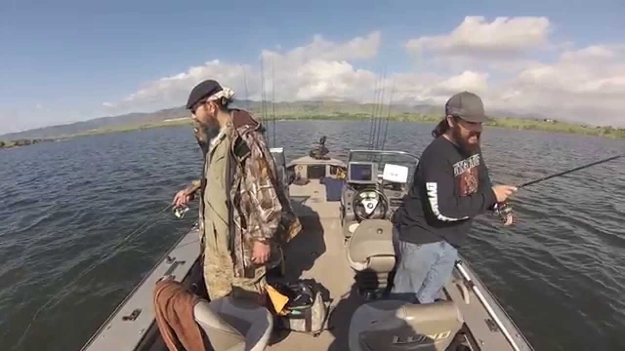 Colorado catfishermen catch walleye