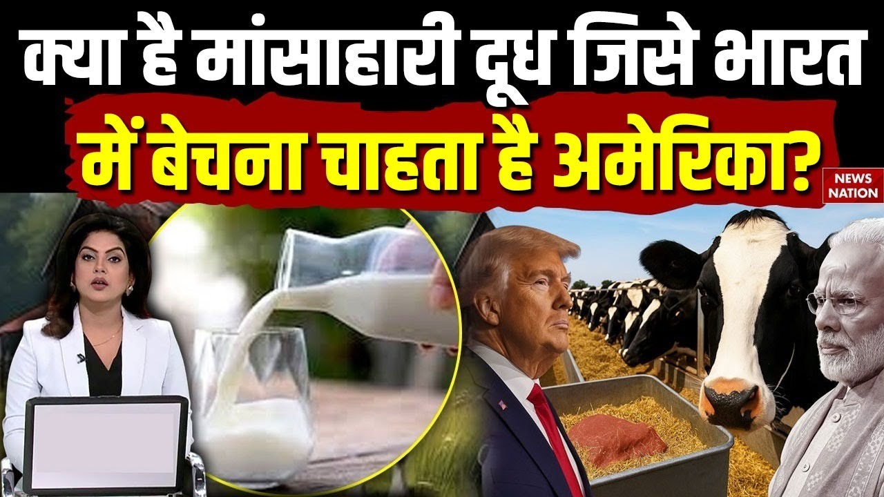 India US Milk Deal: America में गाय के दूध को क्यों बताया जा रहा मांसाहारी? रिपोर्ट चौंका देगी!