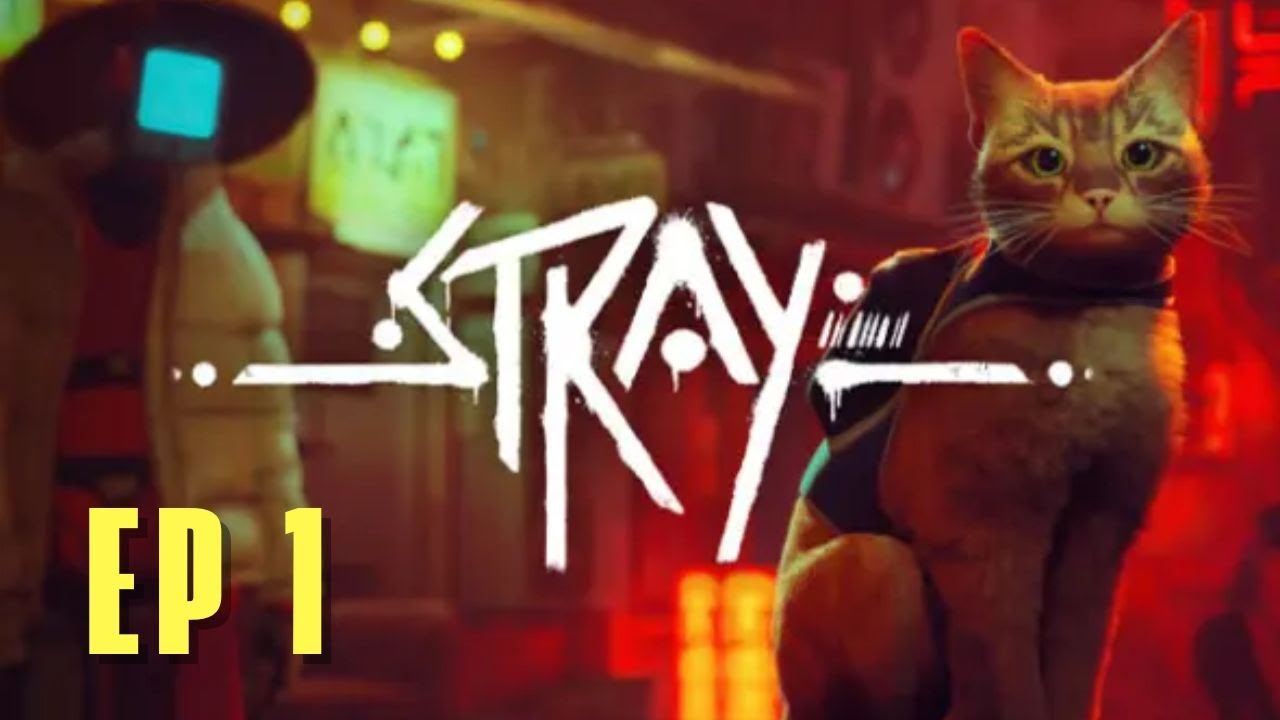 📍 Stray | Je suis un Minou tout doux GRRR GRR MEOOOW 🐈(ep 1)