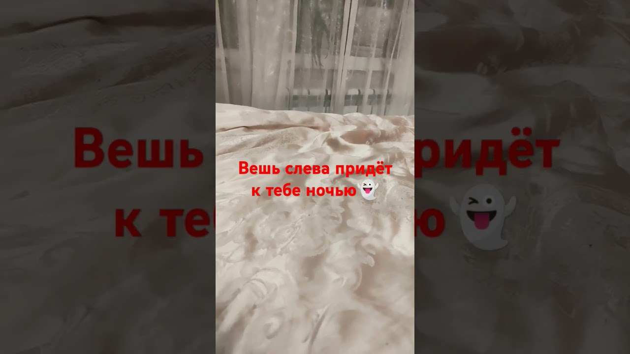 Нежданчик#котик#прикол#буу👻