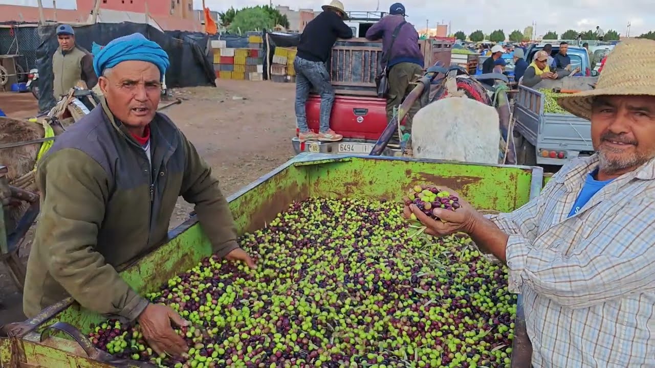 الله على سوق الزيتون لوناسدة اقليم قلعة السراغنة مع أتمنة اليوم 17نونبر2025  #الحوزية_والمنارة 🌱 🫒