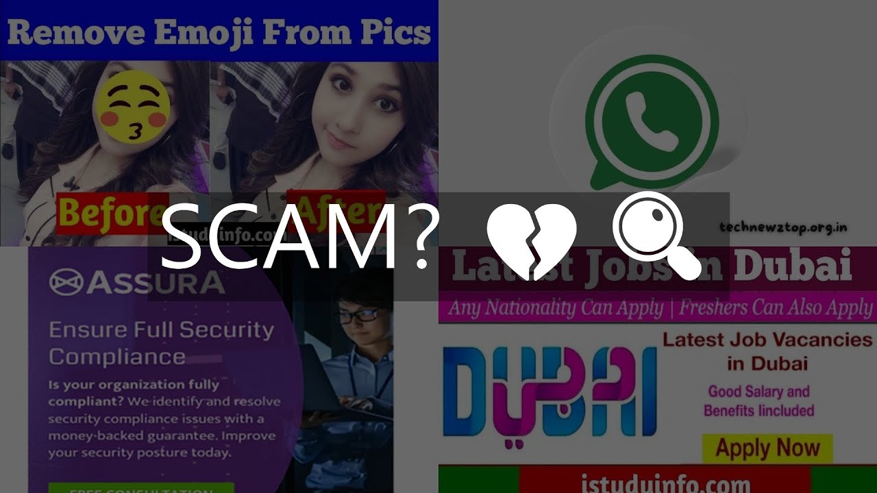 istudyinfo com review  is it legit or scam