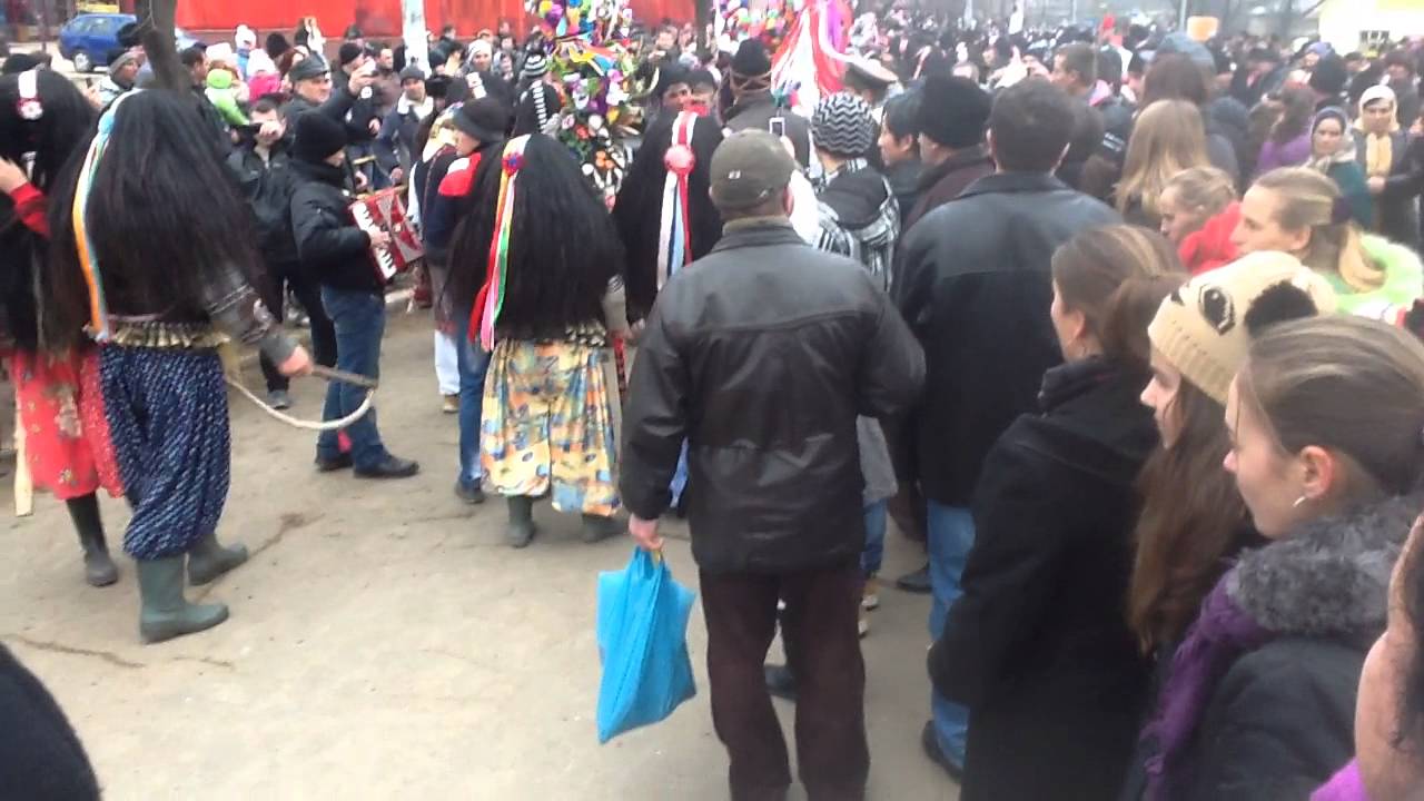 Capra Belcesti 2014 7