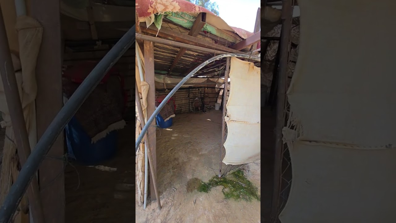 اليوم الأول في رحلة الربع الخالي لعام ١٤٤٧